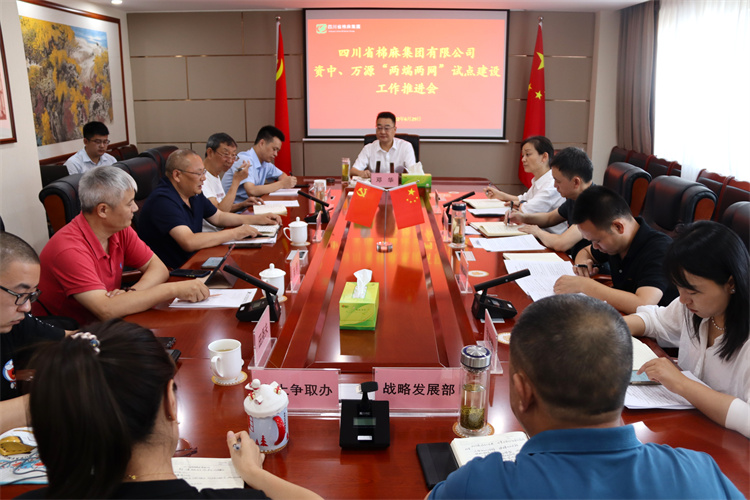 鄧華主持召開資中、萬源“兩端兩網”試點建設工作推進會